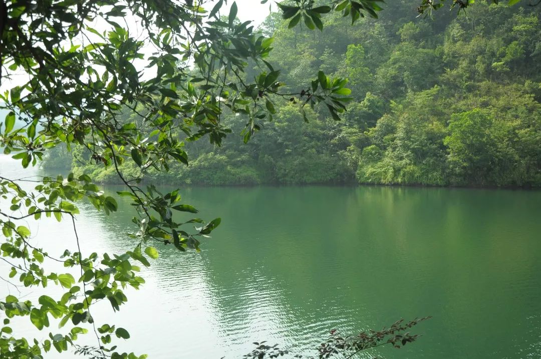 動(dòng)青春 正能量  